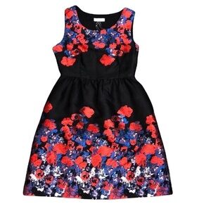 Frock Shop Black Blue Red Brushstroke Floral Fit and Flare Dress Size Small